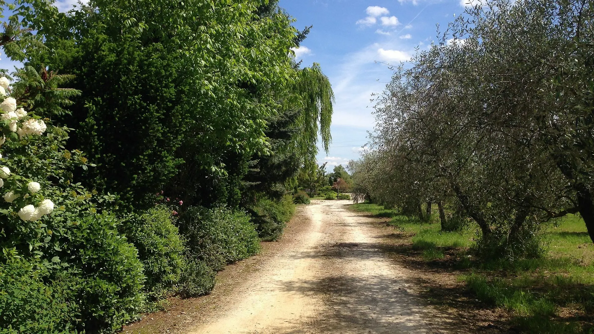 Farm stay Villa Il Crocicchio Reggello